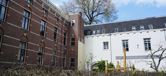 Dikste iep van Amsterdam in de kloostertuin naast de oudemanhuispoort torent boven de universiteitsgebouwen uit