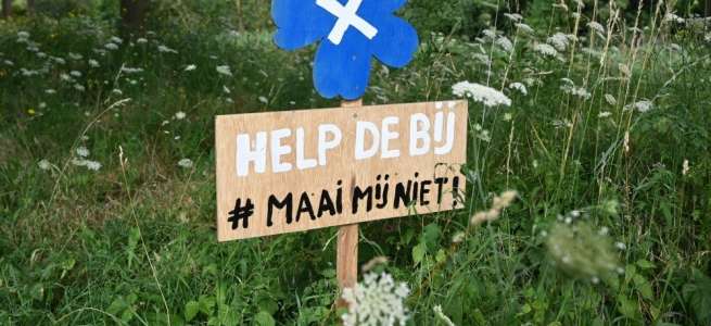 In bloemenveld staat een bordje 'Help de bij #maai mij niet'
