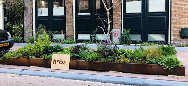 grot ventilatie Kan niet Duurzame plantenbakken in Amsterdam - Nieuw Amsterdams Klimaat